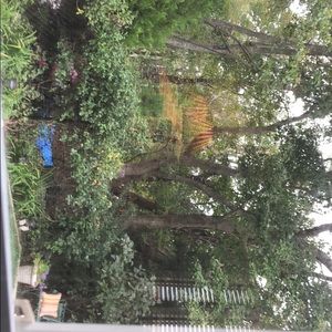 Meet your Posher, Rory